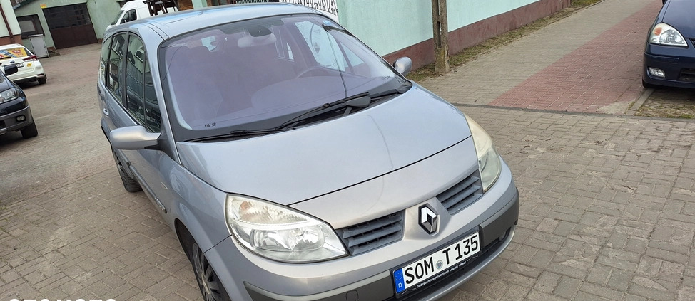 Renault Grand Scenic cena 6999 przebieg: 220000, rok produkcji 2004 z Warszawa małe 67